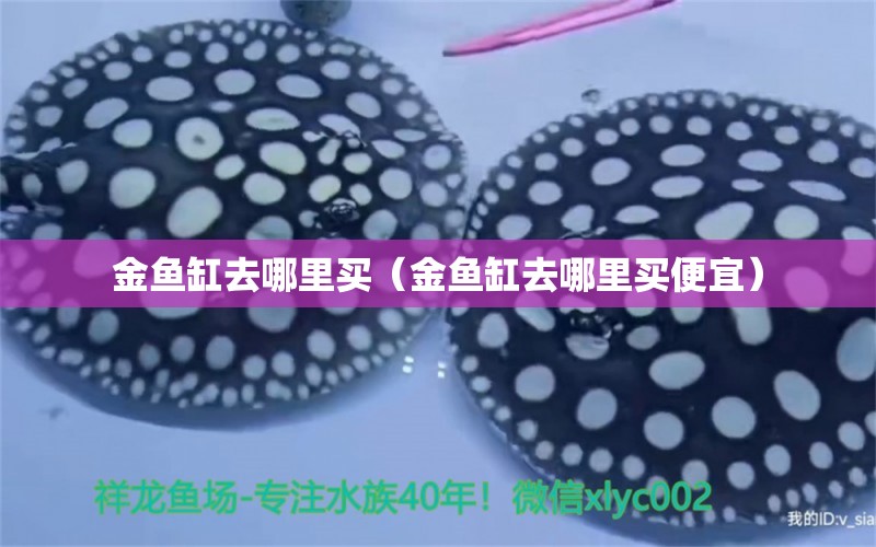 金魚缸去哪里買（金魚缸去哪里買便宜） 魚缸清潔用具