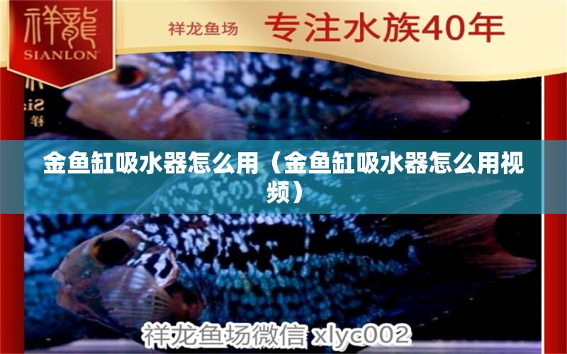 金魚缸吸水器怎么用（金魚缸吸水器怎么用視頻）