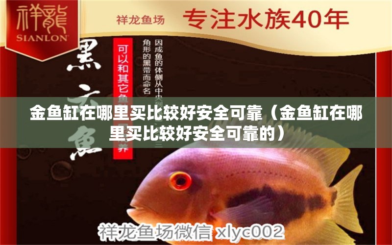 金魚缸在哪里買比較好安全可靠（金魚缸在哪里買比較好安全可靠的） 祥龍水族醫(yī)院