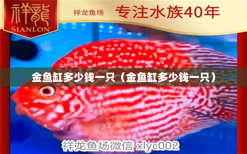 金魚(yú)缸多少錢(qián)一只（金魚(yú)缸多少錢(qián)一只） 養(yǎng)魚(yú)的好處