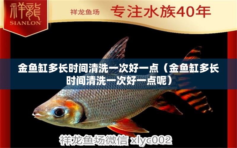 金魚缸多長時間清洗一次好一點(diǎn)（金魚缸多長時間清洗一次好一點(diǎn)呢）