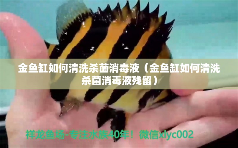 金魚缸如何清洗殺菌消毒液（金魚缸如何清洗殺菌消毒液殘留） 祥龍水族醫(yī)院