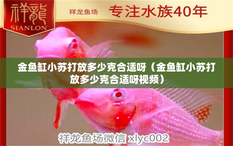 金魚缸小蘇打放多少克合適呀（金魚缸小蘇打放多少克合適呀視頻）