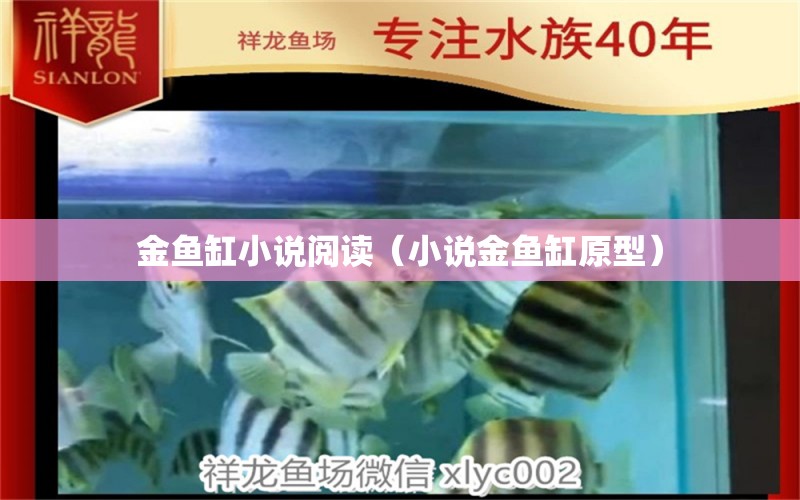 金魚缸小說閱讀（小說金魚缸原型） 祥龍水族醫(yī)院