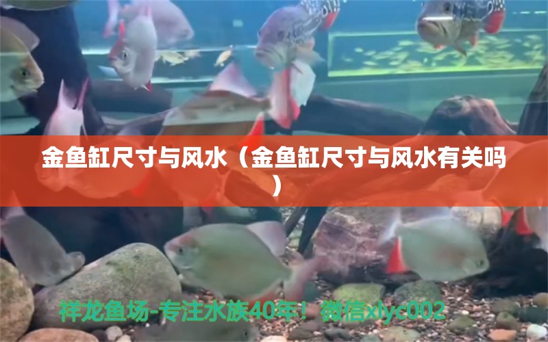 金魚缸尺寸與風水（金魚缸尺寸與風水有關嗎）