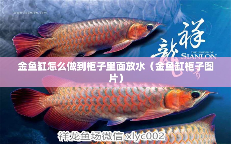 金魚缸怎么做到柜子里面放水（金魚缸柜子圖片） 黑桃A魚苗