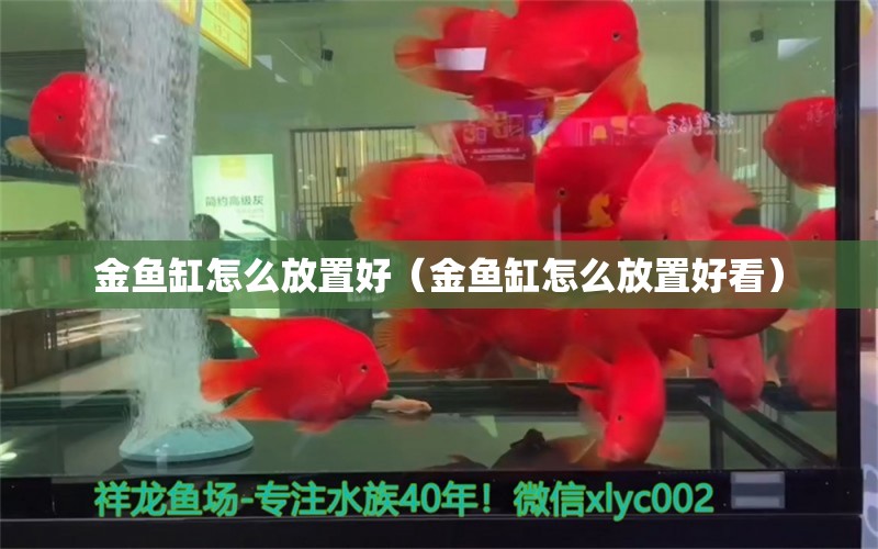 金魚缸怎么放置好（金魚缸怎么放置好看） 量子養(yǎng)魚技術(shù)