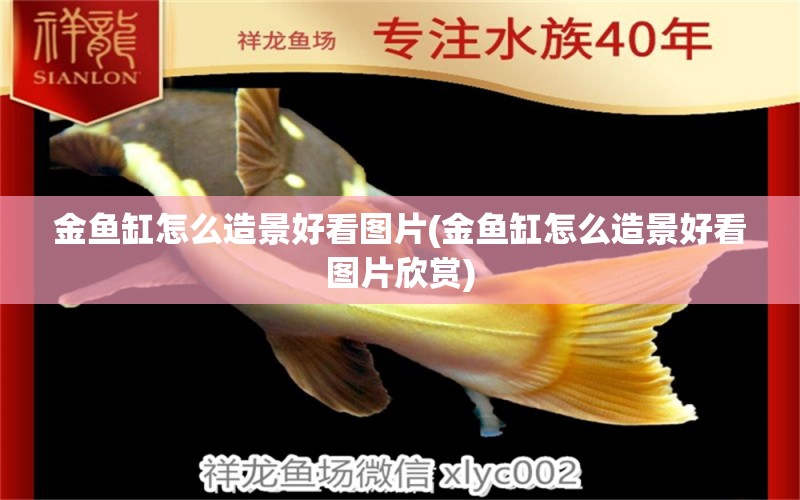 金魚缸怎么造景好看圖片(金魚缸怎么造景好看圖片欣賞) 銀龍魚