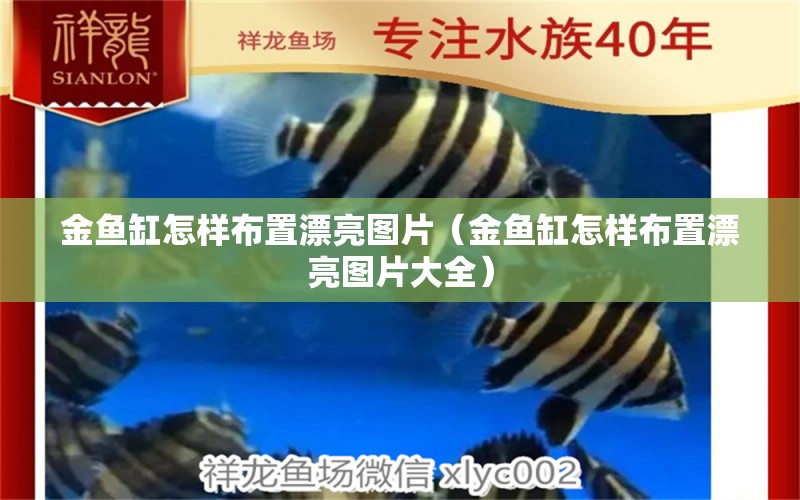 金魚缸怎樣布置漂亮圖片（金魚缸怎樣布置漂亮圖片大全）