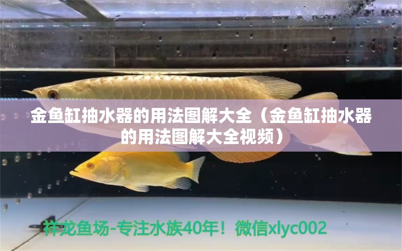 金魚缸抽水器的用法圖解大全（金魚缸抽水器的用法圖解大全視頻）