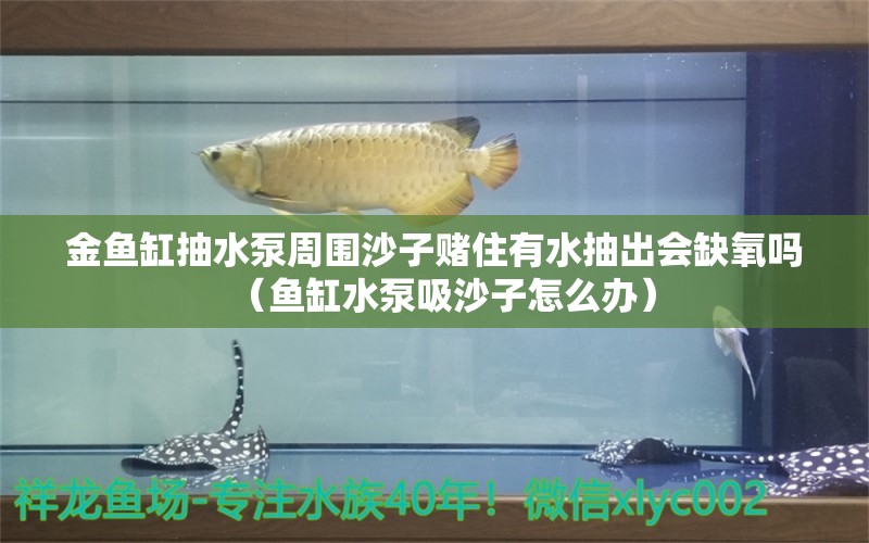 金魚缸抽水泵周圍沙子賭住有水抽出會(huì)缺氧嗎（魚缸水泵吸沙子怎么辦） 魚缸水泵