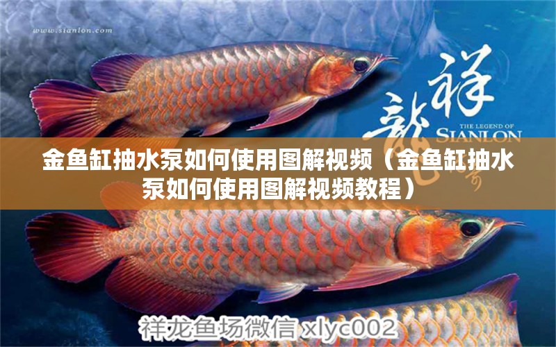 金魚缸抽水泵如何使用圖解視頻（金魚缸抽水泵如何使用圖解視頻教程） 蝴蝶鯉 第1張