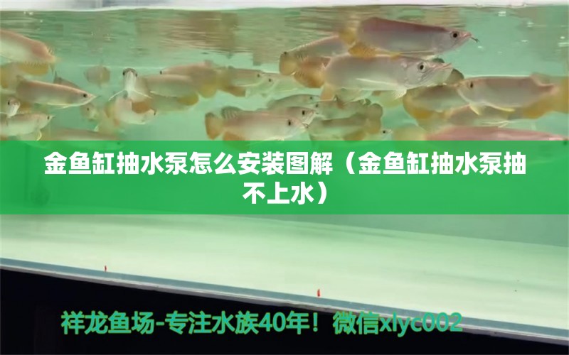 金魚(yú)缸抽水泵怎么安裝圖解（金魚(yú)缸抽水泵抽不上水）