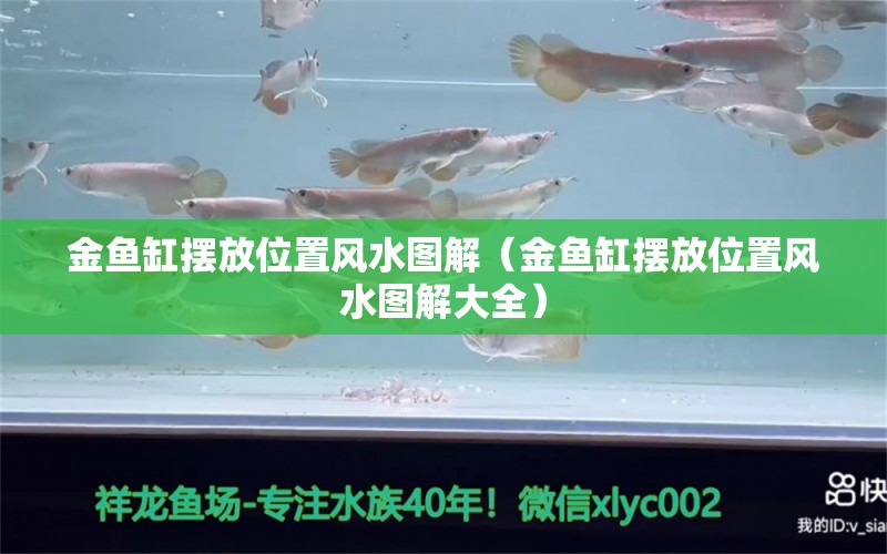 金魚(yú)缸擺放位置風(fēng)水圖解（金魚(yú)缸擺放位置風(fēng)水圖解大全） 魚(yú)缸風(fēng)水