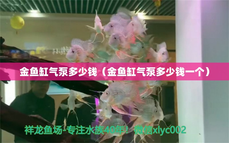 金魚缸氣泵多少錢（金魚缸氣泵多少錢一個） 量子養(yǎng)魚技術