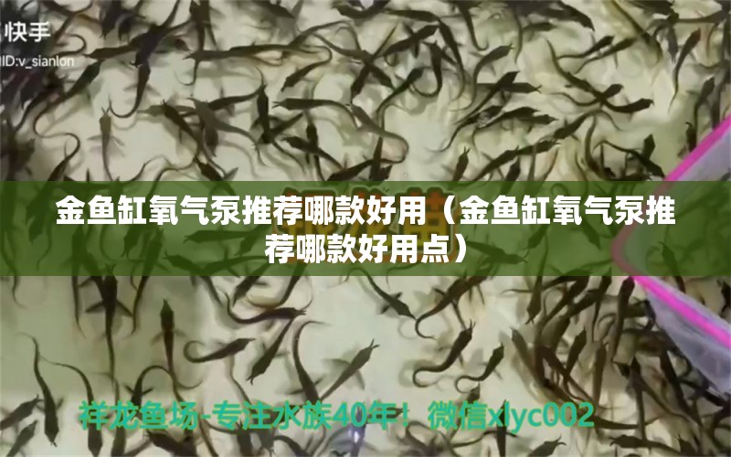 金魚缸氧氣泵推薦哪款好用（金魚缸氧氣泵推薦哪款好用點） 量子養(yǎng)魚技術