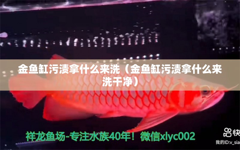 金魚缸污漬拿什么來(lái)洗（金魚缸污漬拿什么來(lái)洗干凈）