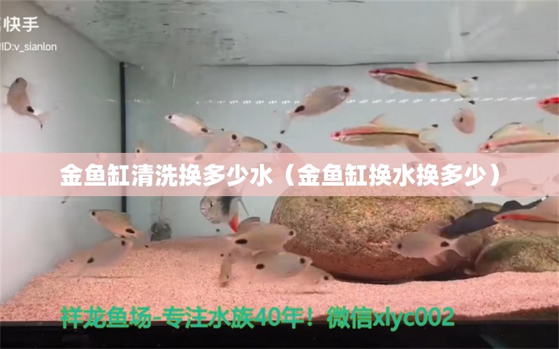 金魚缸清洗換多少水（金魚缸換水換多少）