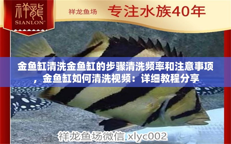 金魚缸清洗金魚缸的步驟清洗頻率和注意事項(xiàng)，金魚缸如何清洗視頻：詳細(xì)教程分享