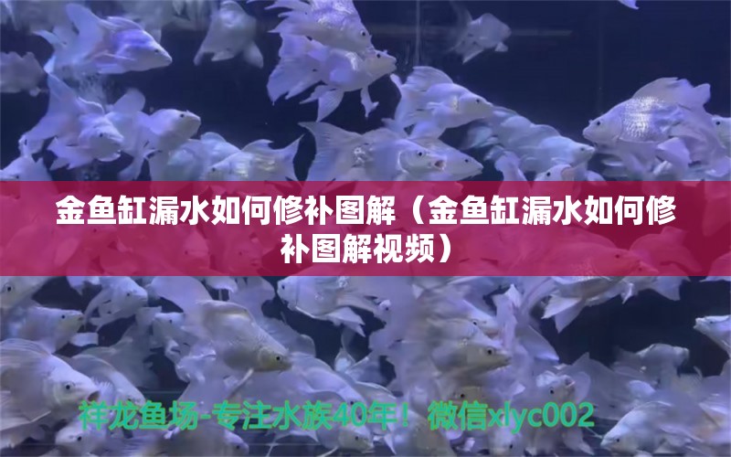 金魚缸漏水如何修補圖解（金魚缸漏水如何修補圖解視頻）