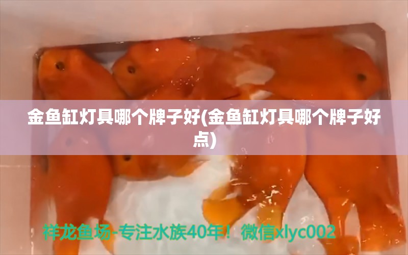 金魚缸燈具哪個牌子好(金魚缸燈具哪個牌子好點(diǎn))