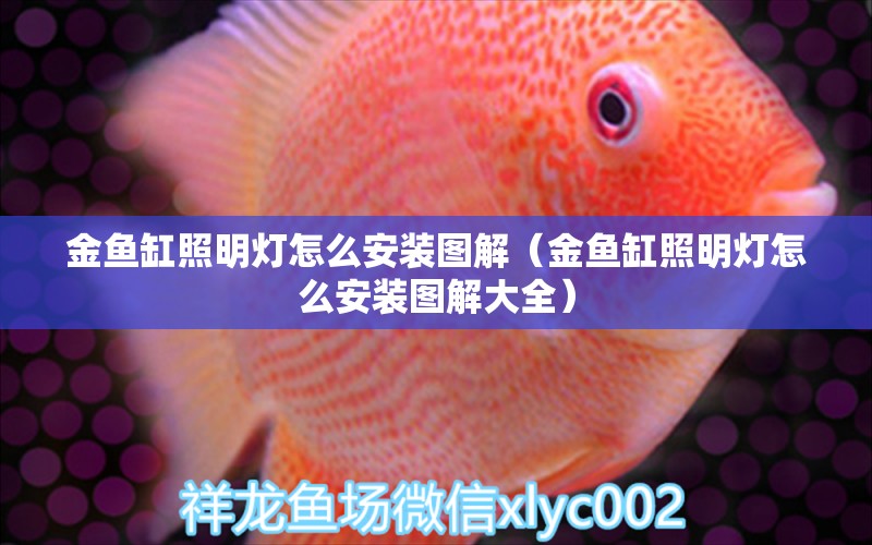 金魚缸照明燈怎么安裝圖解（金魚缸照明燈怎么安裝圖解大全） 李亞四龍魚