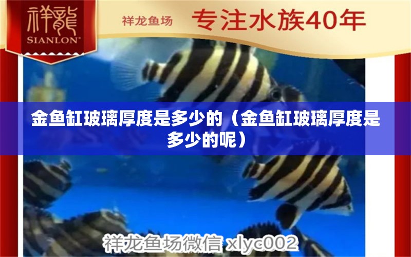 金魚缸玻璃厚度是多少的（金魚缸玻璃厚度是多少的呢） 祥龍水族醫(yī)院