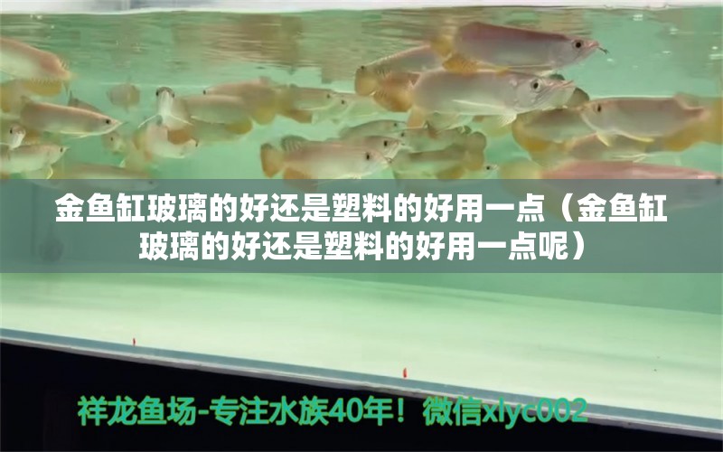 金魚缸玻璃的好還是塑料的好用一點(diǎn)（金魚缸玻璃的好還是塑料的好用一點(diǎn)呢） 埃及神仙魚