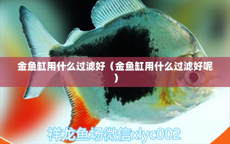 金魚缸用什么過濾好（金魚缸用什么過濾好呢）