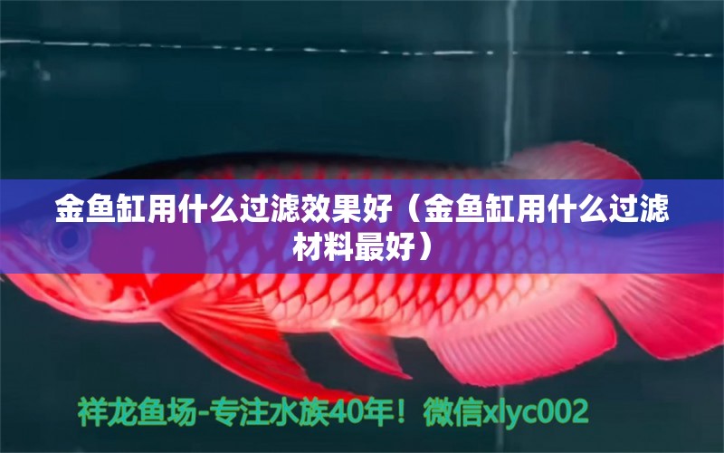 金魚缸用什么過(guò)濾效果好（金魚缸用什么過(guò)濾材料最好）