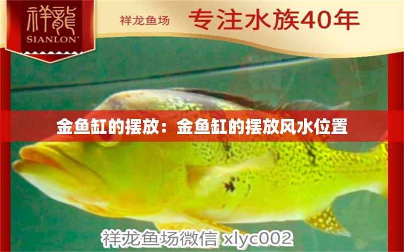 金魚缸的擺放：金魚缸的擺放風(fēng)水位置 魚缸風(fēng)水