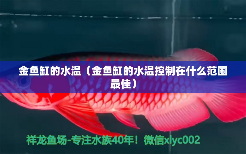 金魚(yú)缸的水溫（金魚(yú)缸的水溫控制在什么范圍最佳） 祥龍水族醫(yī)院