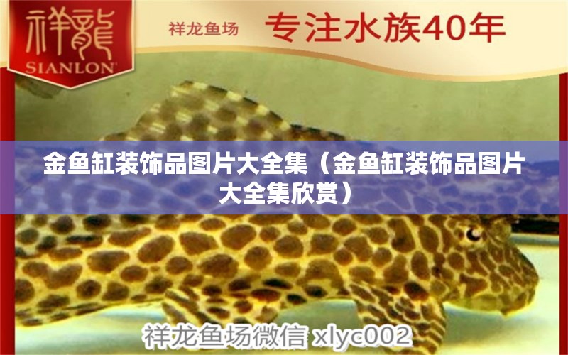 金魚缸裝飾品圖片大全集（金魚缸裝飾品圖片大全集欣賞）