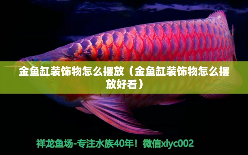 金魚缸裝飾物怎么擺放（金魚缸裝飾物怎么擺放好看）