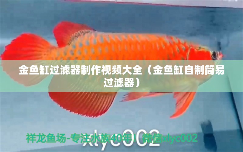 金魚缸過濾器制作視頻大全（金魚缸自制簡易過濾器） 埃及神仙魚