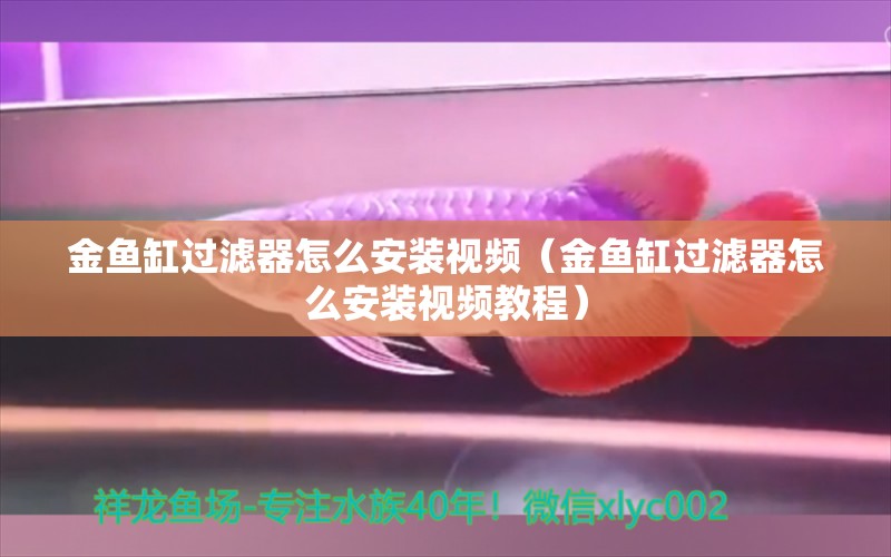 金魚缸過濾器怎么安裝視頻（金魚缸過濾器怎么安裝視頻教程）