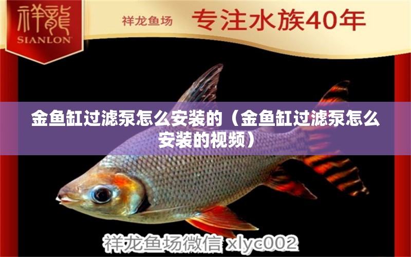 金魚缸過濾泵怎么安裝的（金魚缸過濾泵怎么安裝的視頻） 溫控設(shè)備