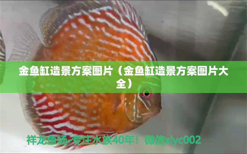 金魚缸造景方案圖片（金魚缸造景方案圖片大全）