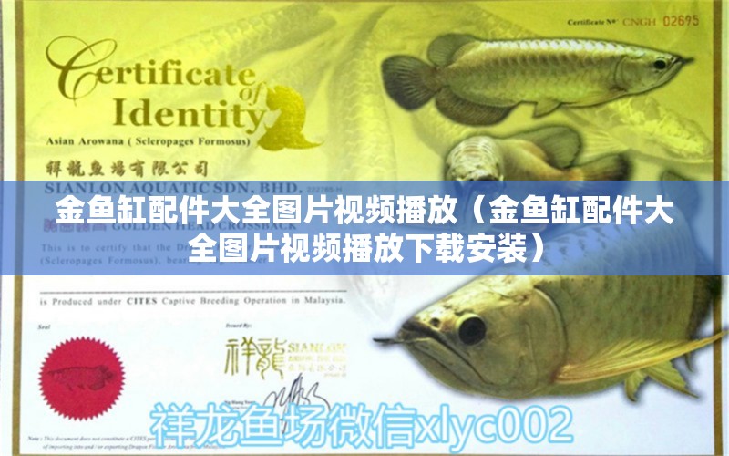 金魚缸配件大全圖片視頻播放（金魚缸配件大全圖片視頻播放下載安裝） 祥龍水族醫(yī)院