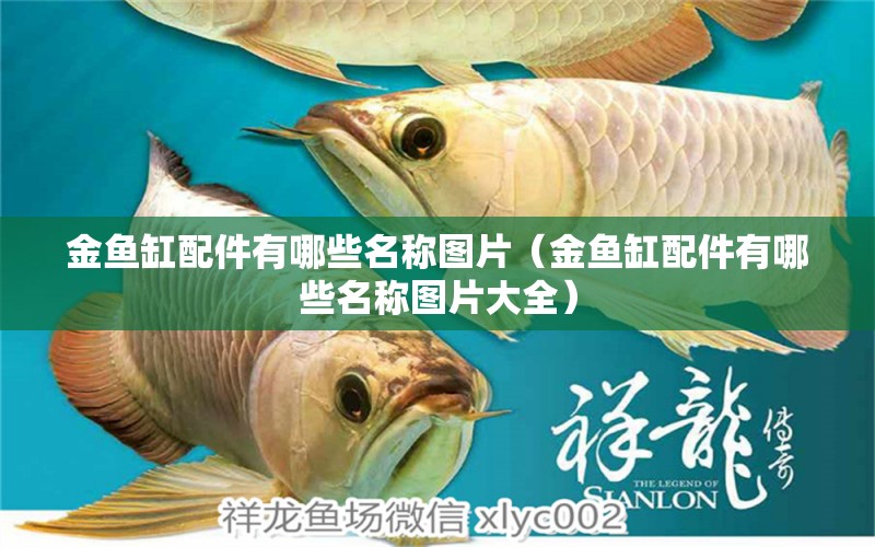 金魚缸配件有哪些名稱圖片（金魚缸配件有哪些名稱圖片大全） 廣州觀賞魚批發(fā)市場