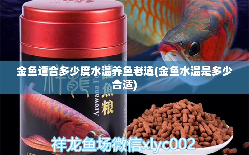 金魚適合多少度水溫養(yǎng)魚老道(金魚水溫是多少合適)