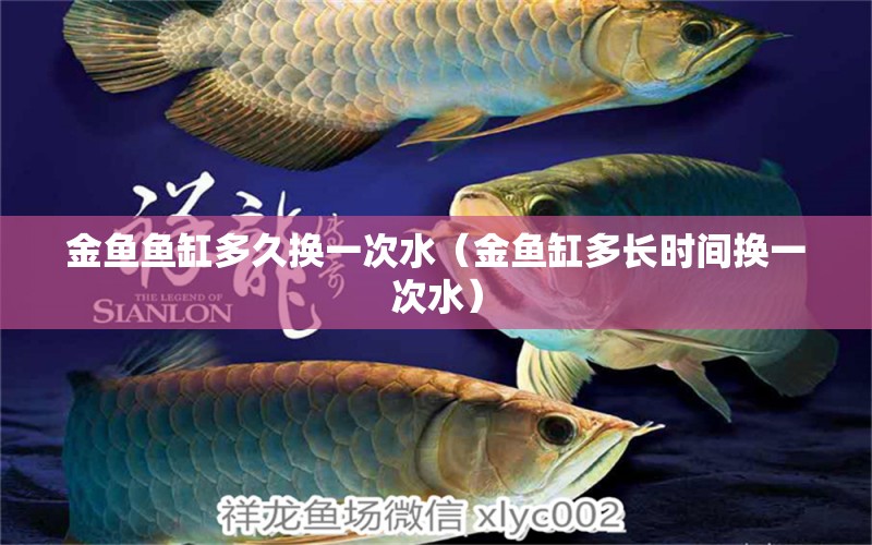 金魚(yú)魚(yú)缸多久換一次水（金魚(yú)缸多長(zhǎng)時(shí)間換一次水） 魚(yú)缸清潔用具