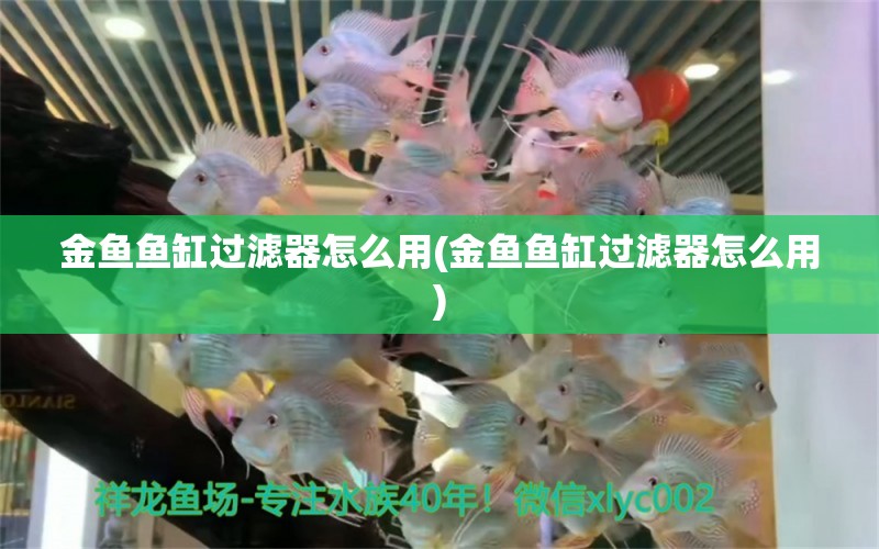 金魚魚缸過濾器怎么用(金魚魚缸過濾器怎么用) 一眉道人魚苗