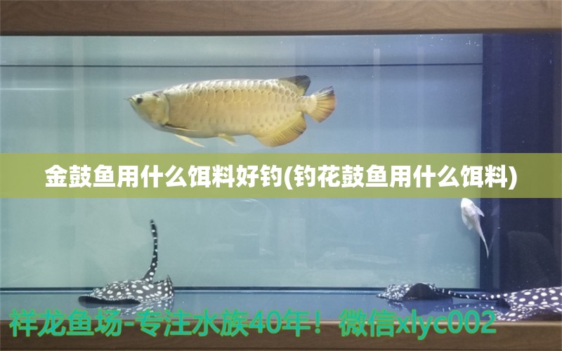 金鼓魚用什么餌料好釣(釣花鼓魚用什么餌料) 垂釣樂園