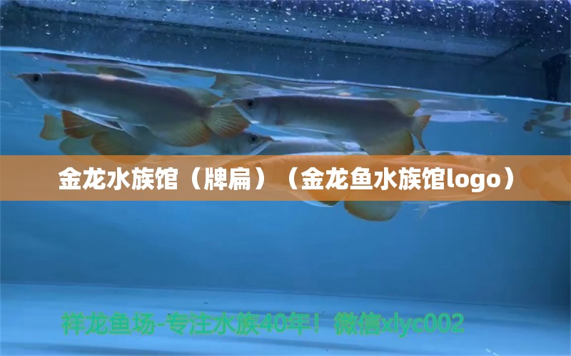 金龍水族館（牌扁）（金龍魚水族館logo） 全國水族館企業(yè)名錄