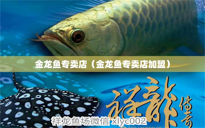 金龍魚專賣店（金龍魚專賣店加盟）