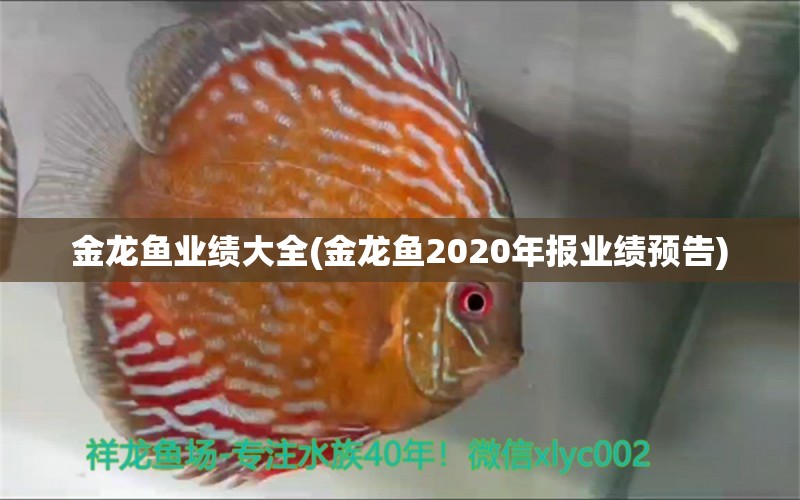 金龍魚業(yè)績(jī)大全(金龍魚2020年報(bào)業(yè)績(jī)預(yù)告) 龍魚芯片掃碼器