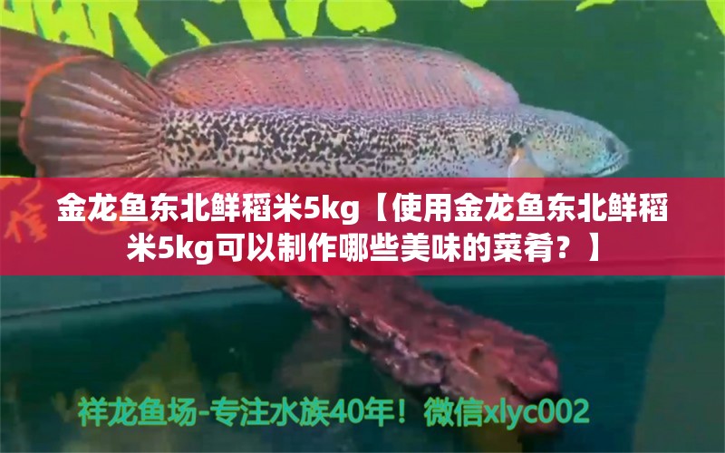 金龍魚東北鮮稻米5kg【使用金龍魚東北鮮稻米5kg可以制作哪些美味的菜肴？】 水族問答 第1張