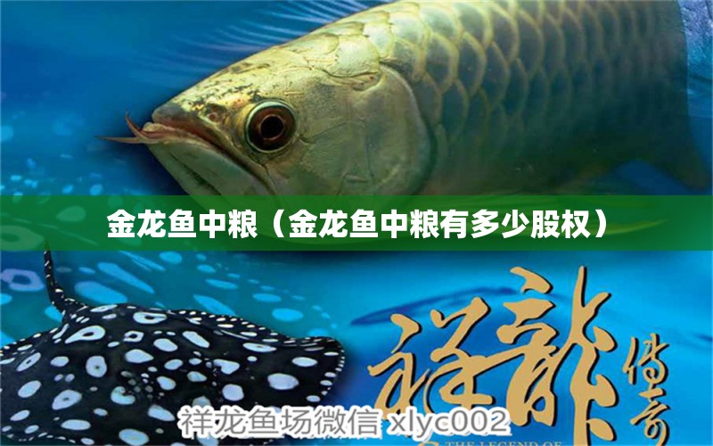 金龍魚中糧（金龍魚中糧有多少股權(quán)） 祥龍水族醫(yī)院