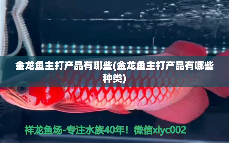 金龍魚主打產品有哪些(金龍魚主打產品有哪些種類)